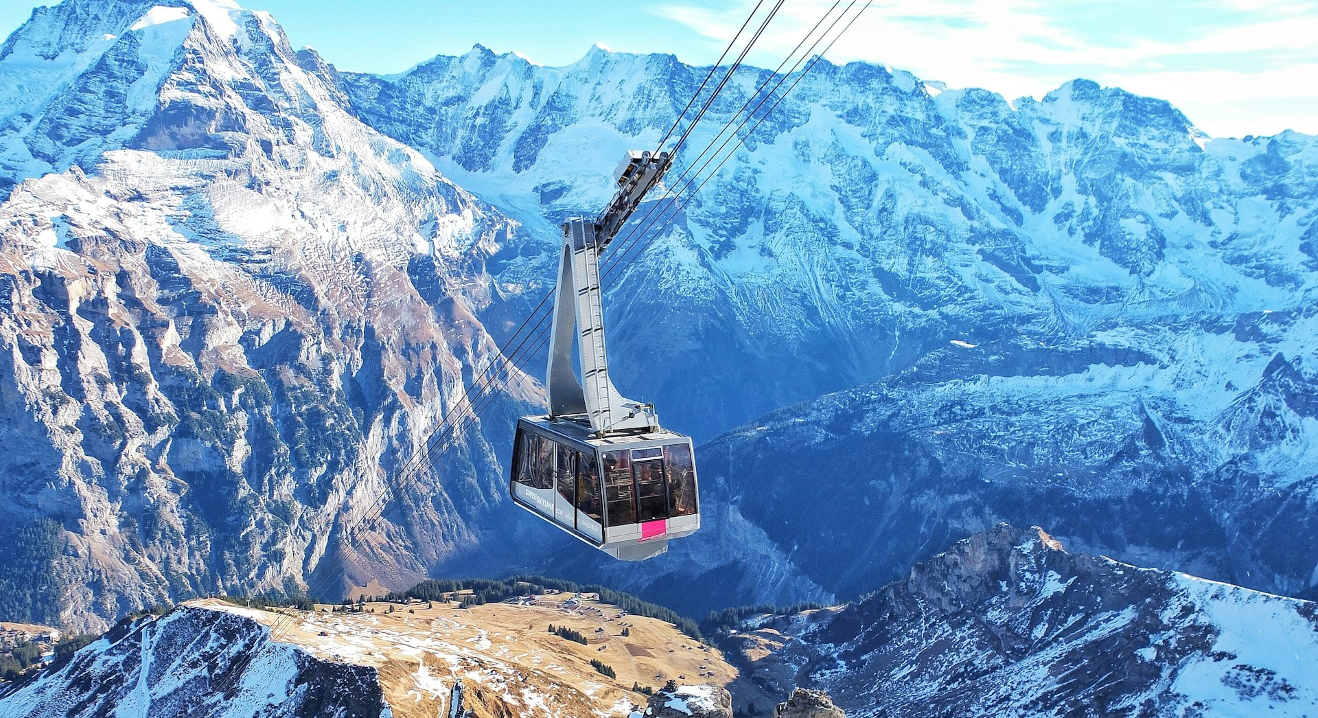 The Swiss Young Immunologists Society – Empowering the next generation of immunologists