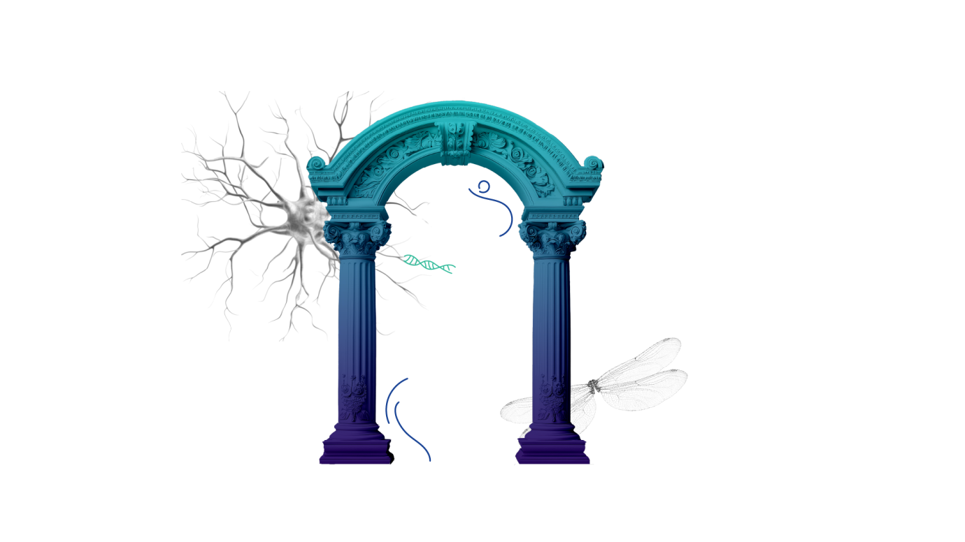 MSCA Choose Europe for Science 2025: applications are open
