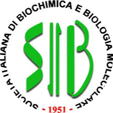 Go to the profile of SIB – Junior Section