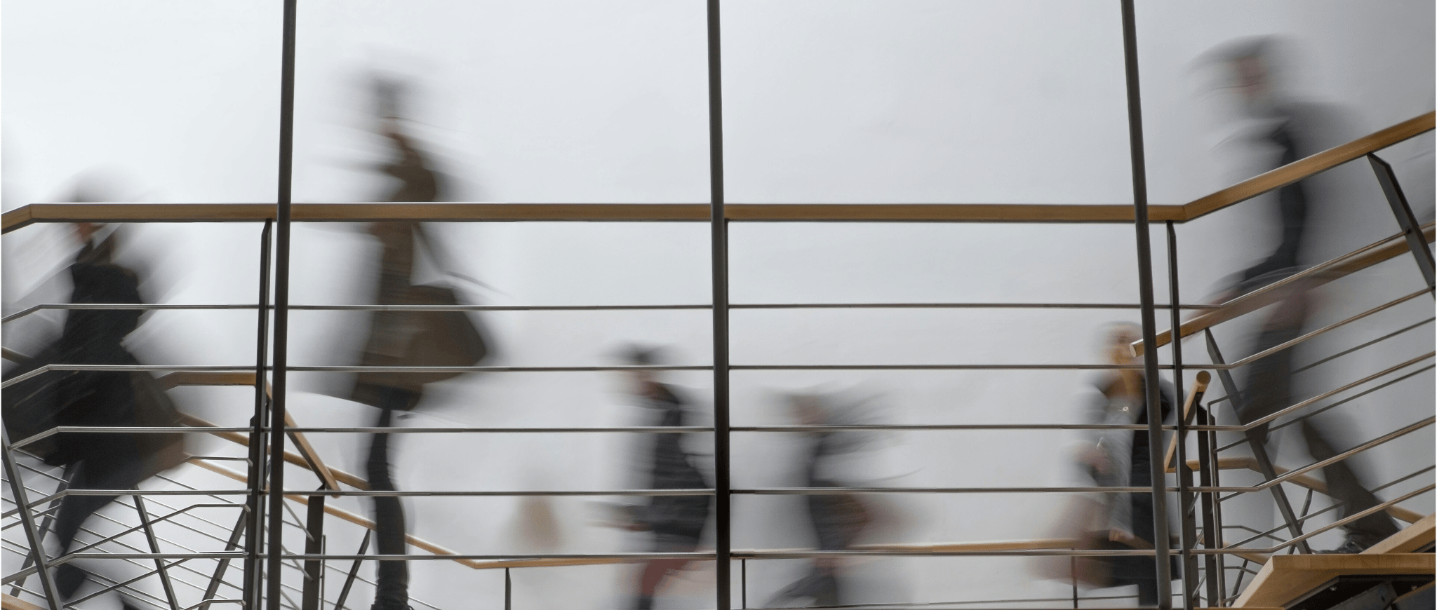 Engaging young and early-career scientists in the science-policy interface