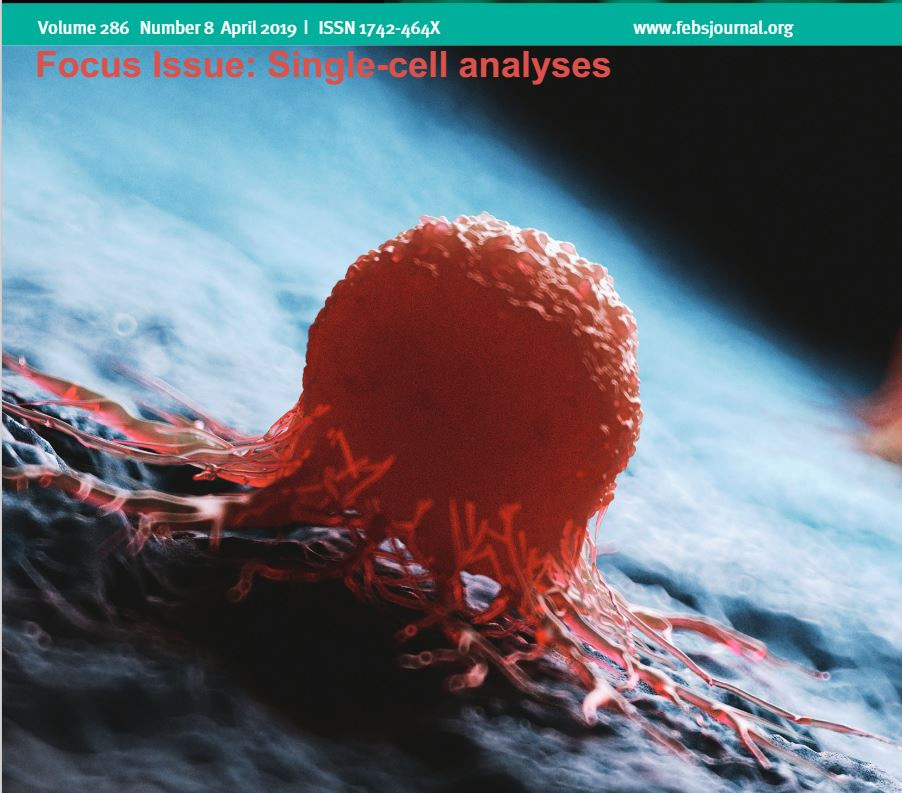 The FEBS Journal's Focus Issue on Single‐Cell Analyses