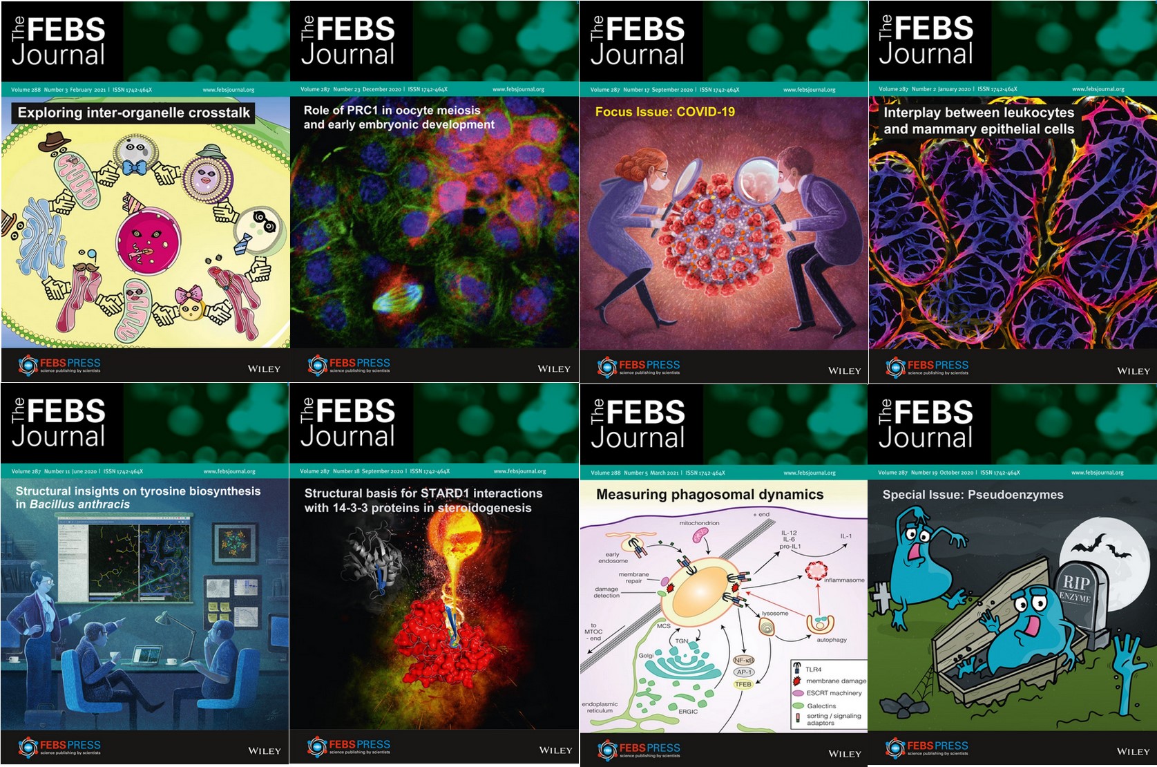 The FEBS Journal Cover Competition 2021