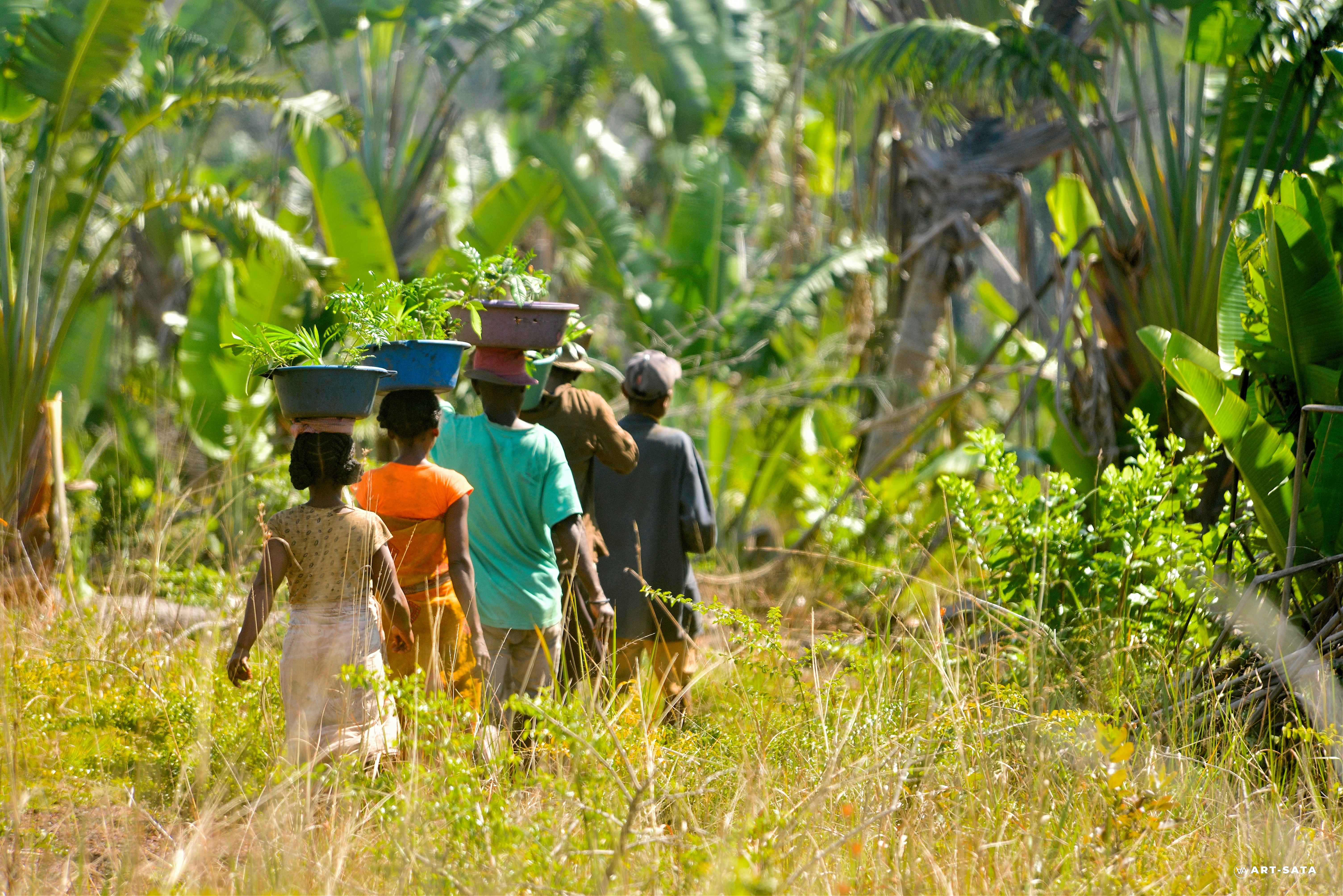 How preserving tropical rainforests could prevent pandemics