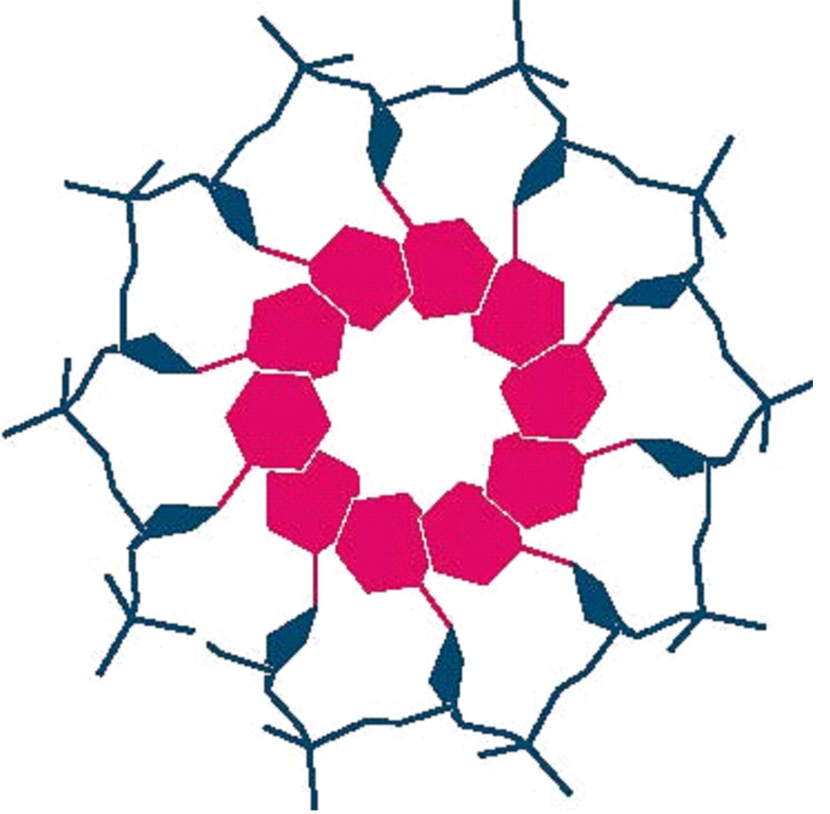 Go to the profile of MBKE – The Hungarian Biochemical Society