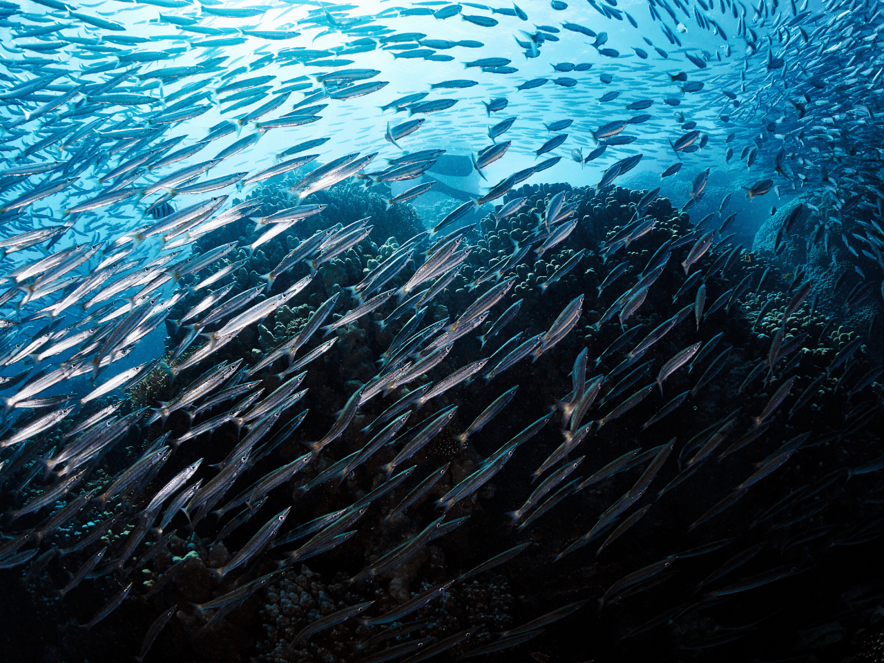 Empowering educators, inspiring students