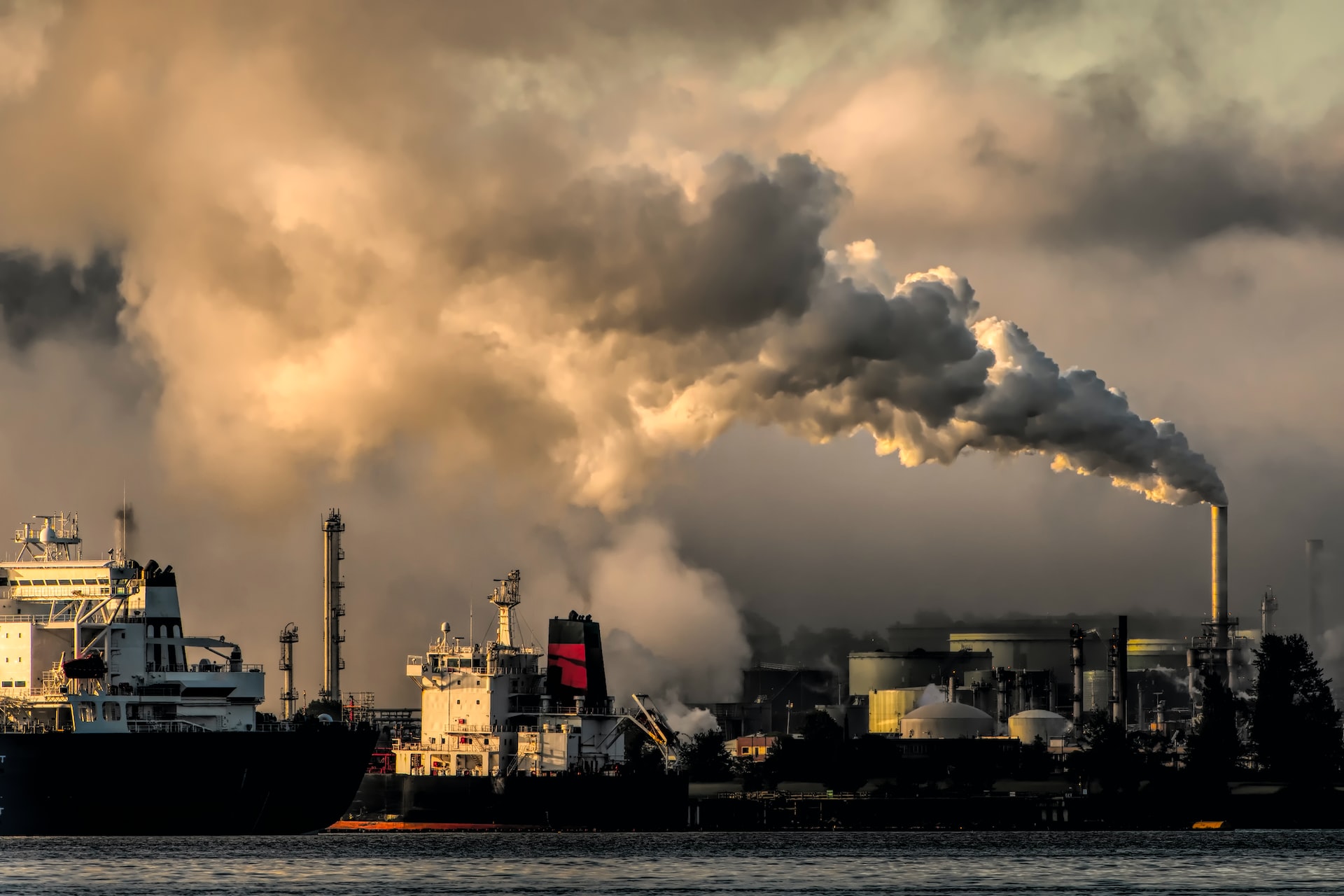 Metabolic biochemistry takes center stage in environment and health research