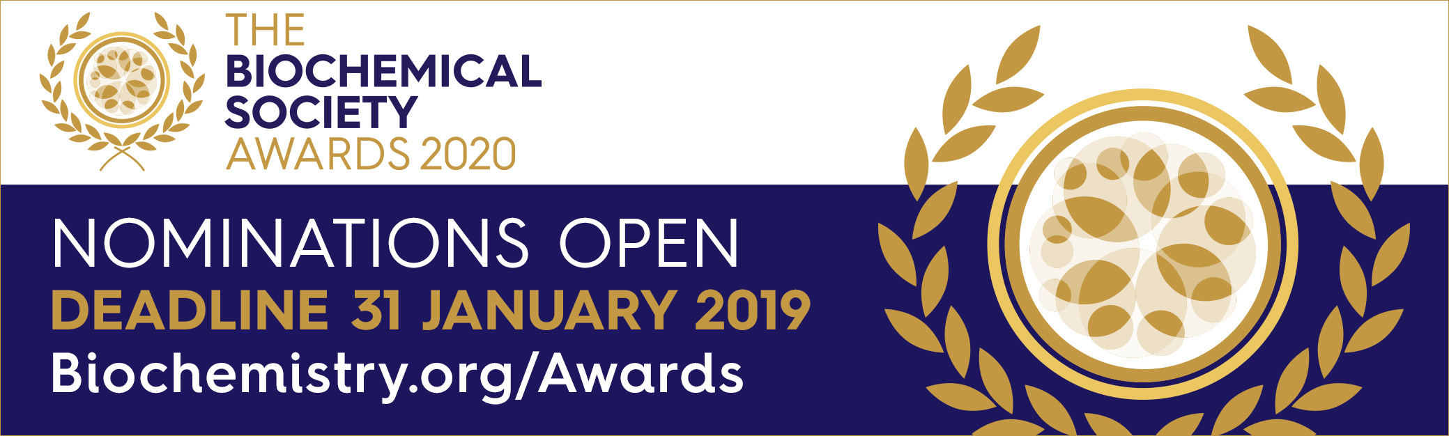 Biochemical Society Awards 2020
