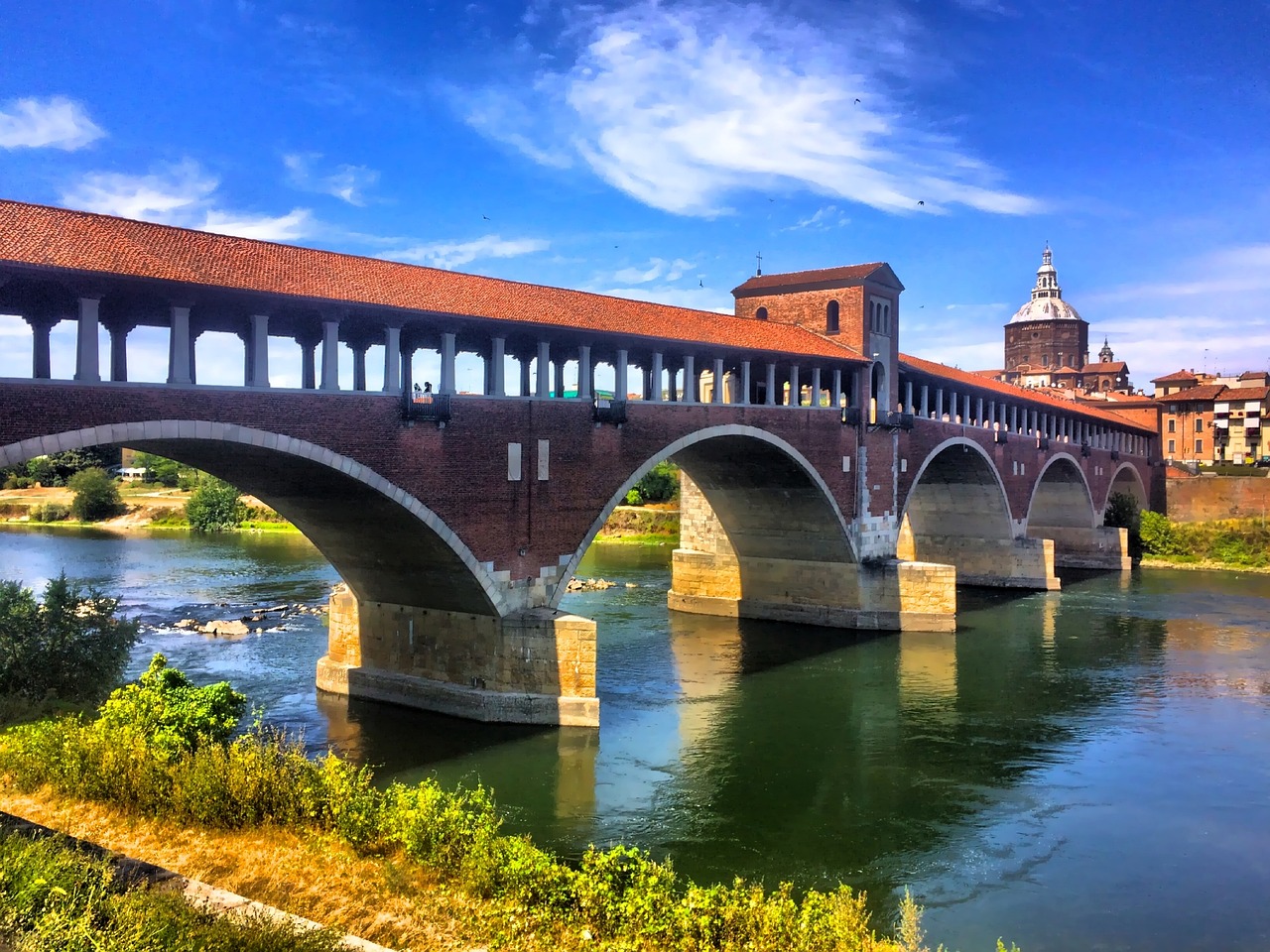 The FEBS Young Scientists' Forum in Pavia, June 2024: an introduction