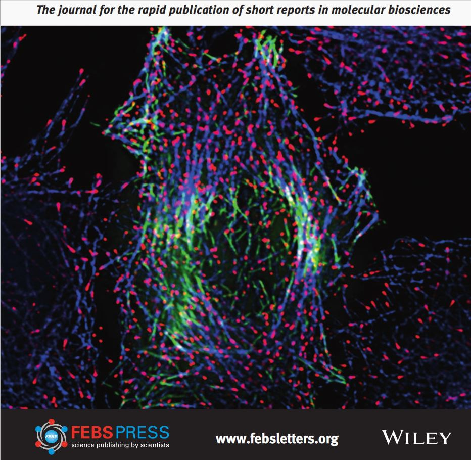 Special Issue: Immunity and Metabolism