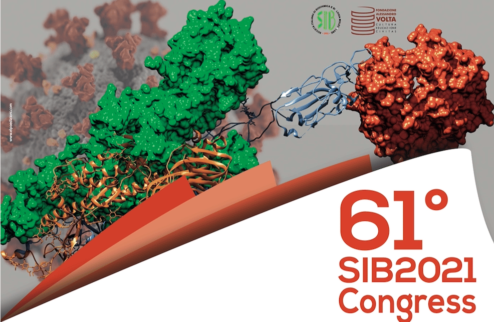 61° SIB 2021 Congress