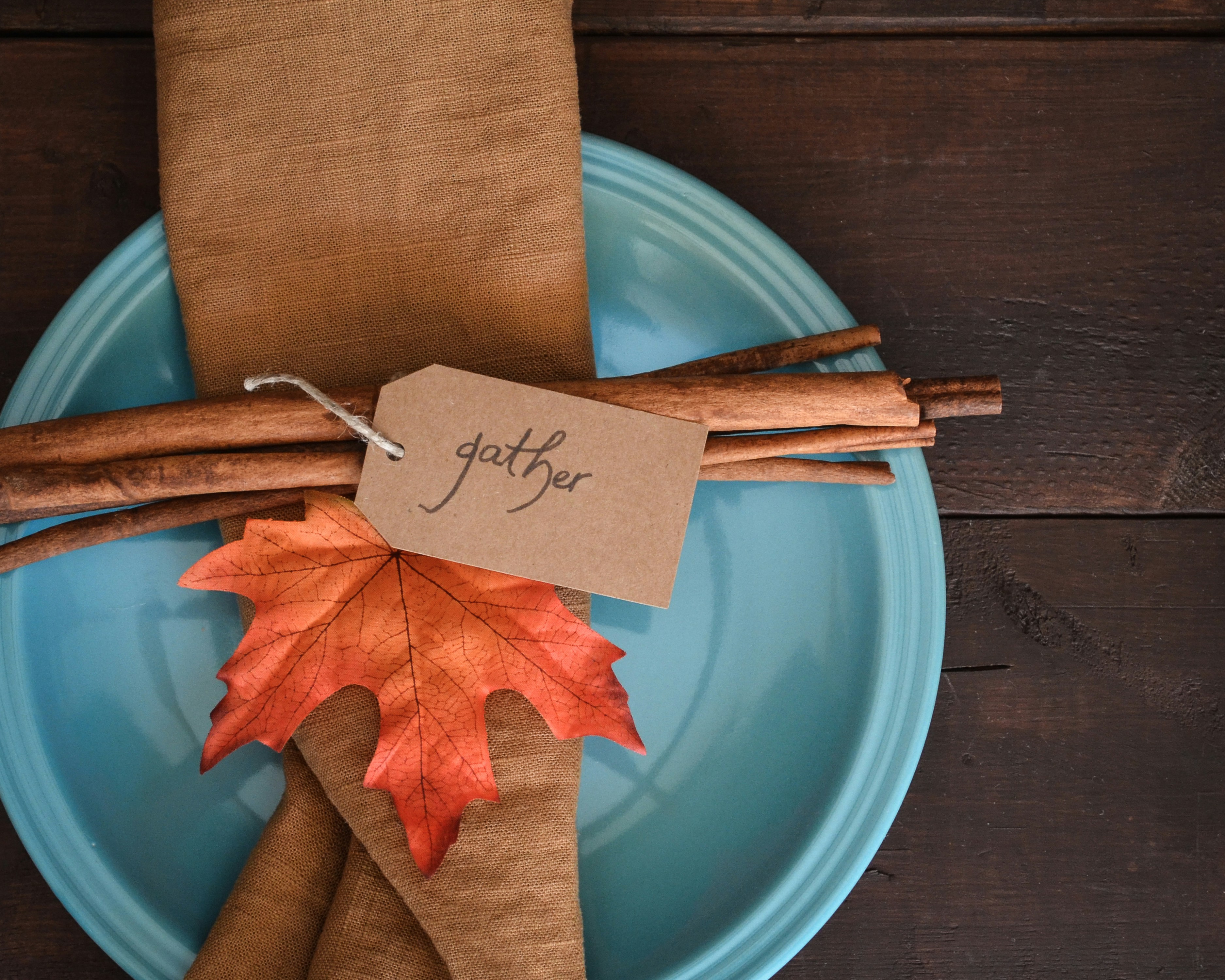 Thanksgiving 2025: Honouring the community behind FEBS Open Bio