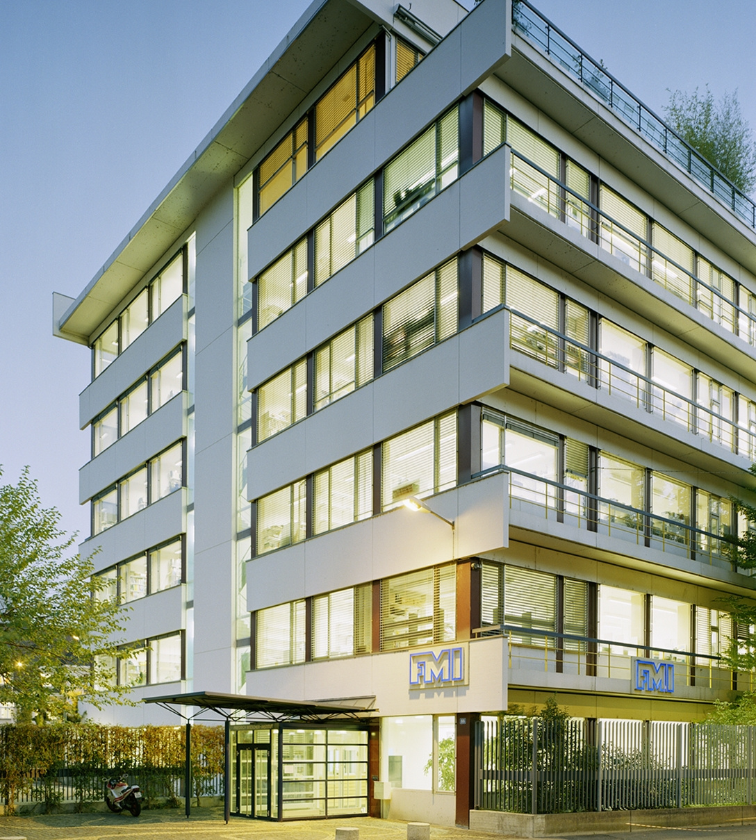 Visions: Susan M. Gasser, Director of the Friedrich Miescher Institute for Biomedical Research, Switzerland