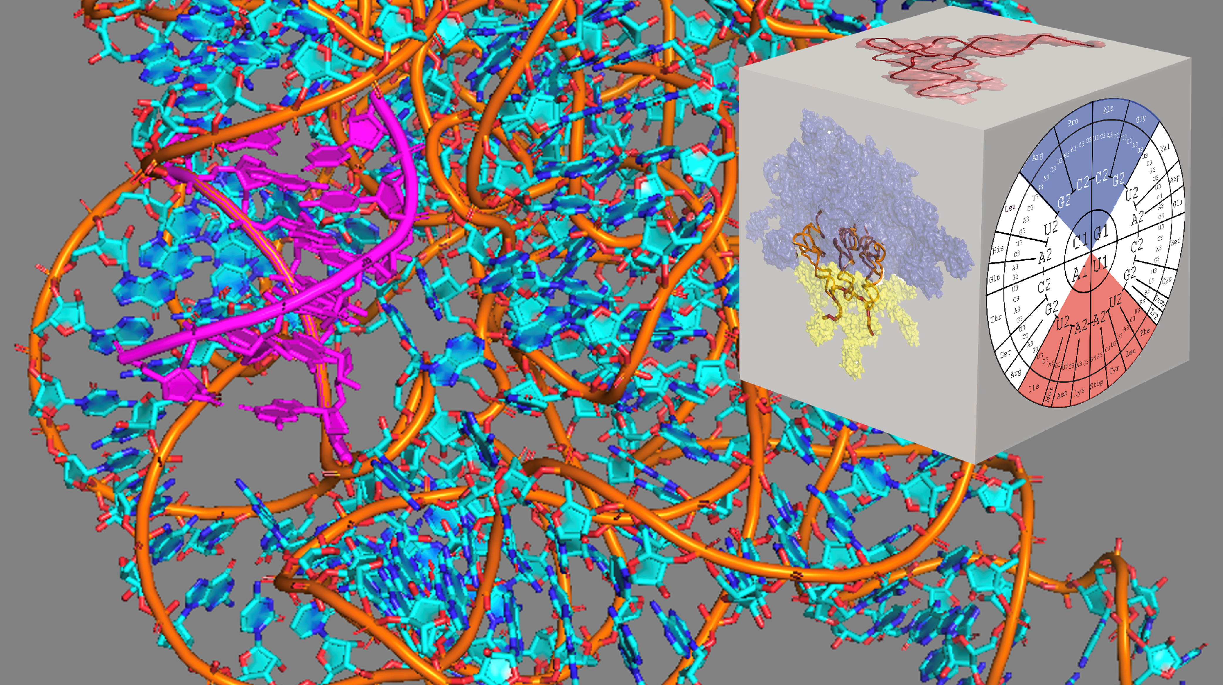 Eric Westhof: "... your job becomes your hobby or vice versa when you are a scientist."