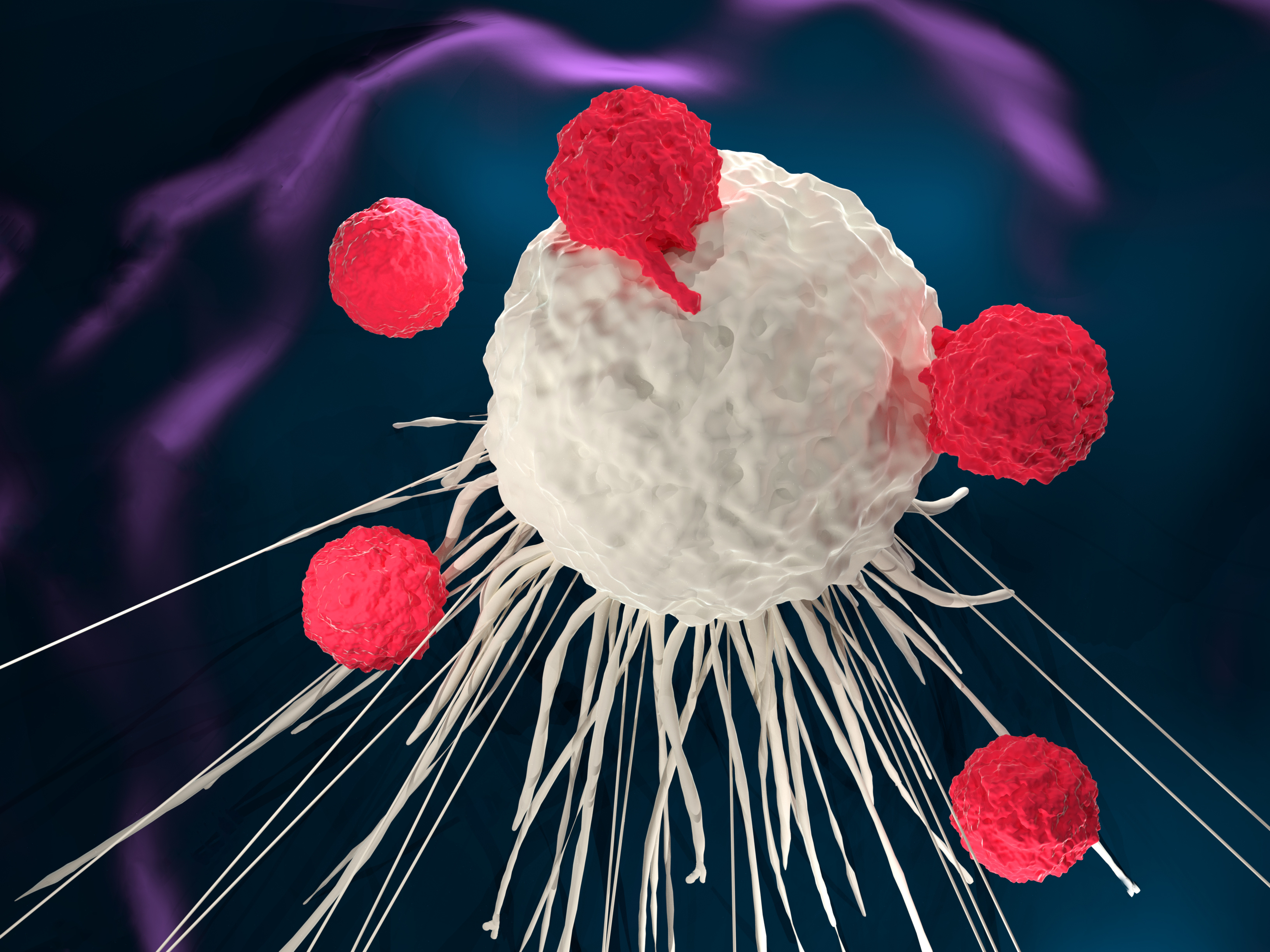Special Issue on Cancer Therapeutics
