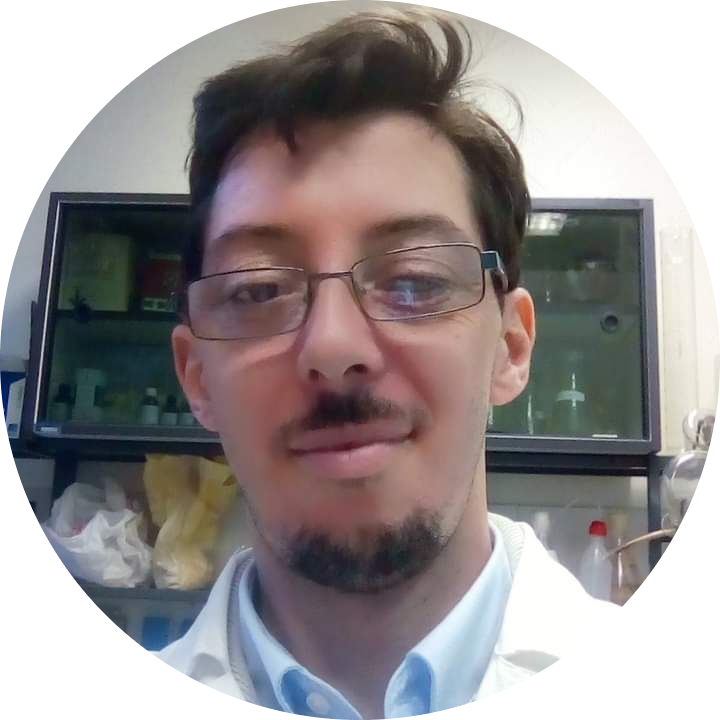 Go to the profile of Paolo Pelini