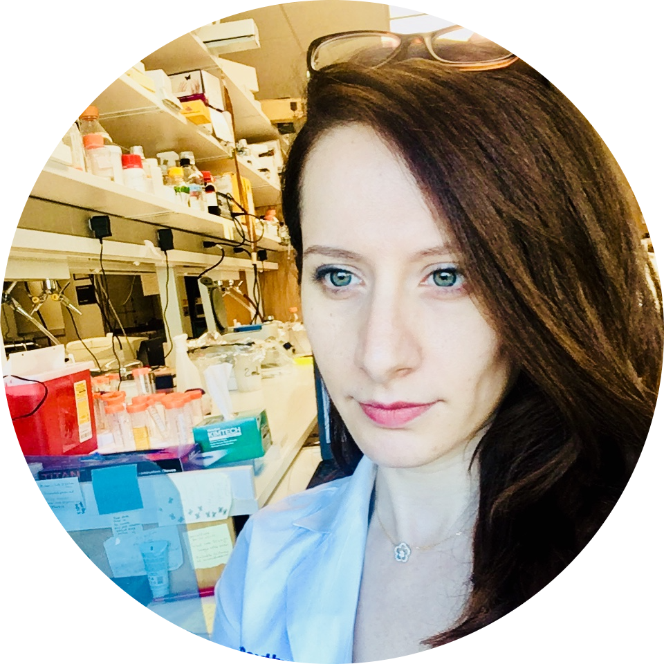 Go to the profile of Hanaa Hariri, PhD