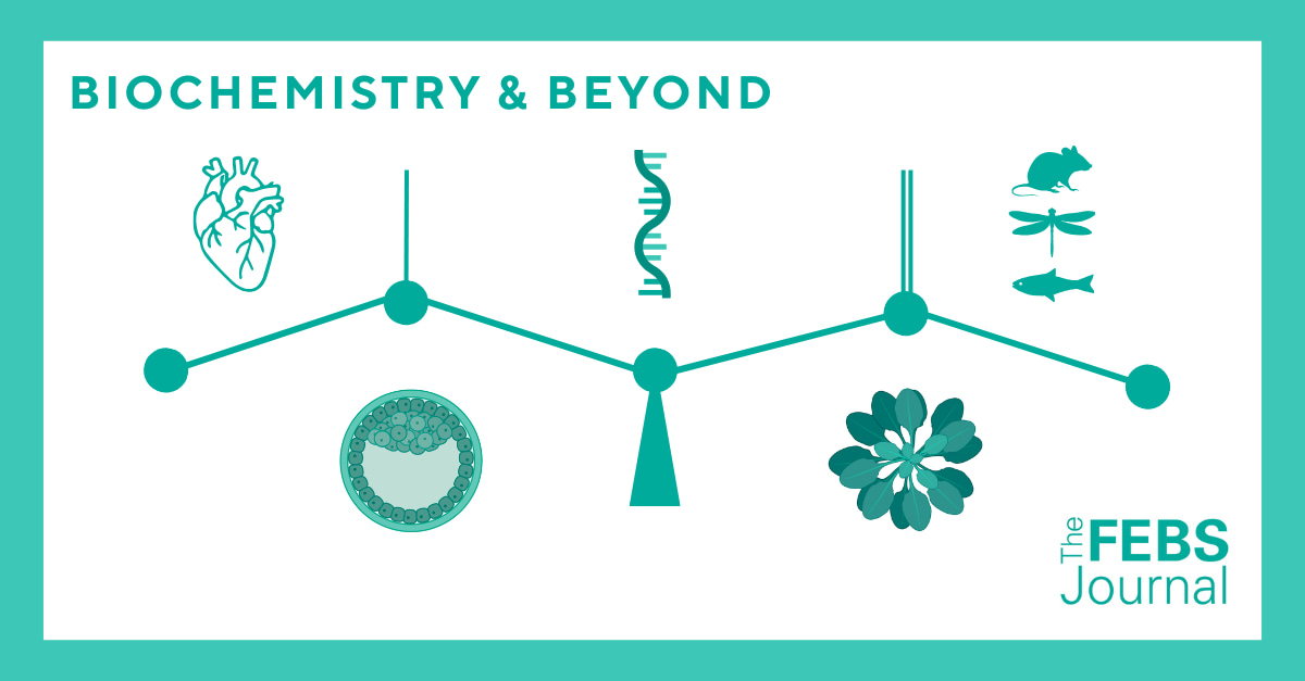 The FEBS Journal, where biochemistry is the starting point – not the limit! 