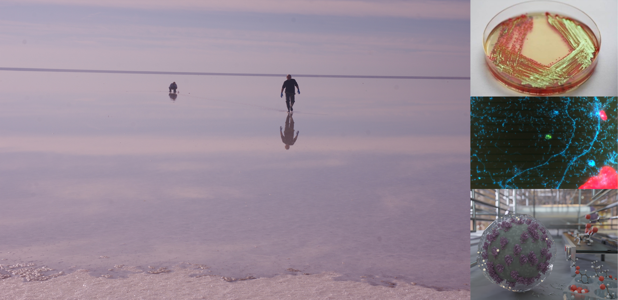 Fantastic enzymes: where and how to find them