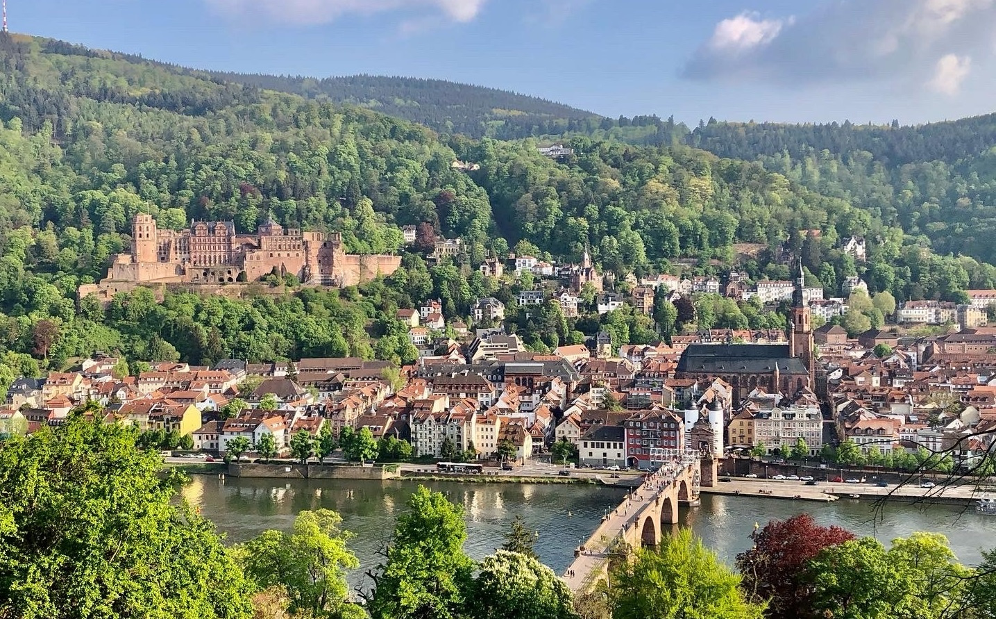 MSC Postdoctoral Fellowships in cancer research in Germany