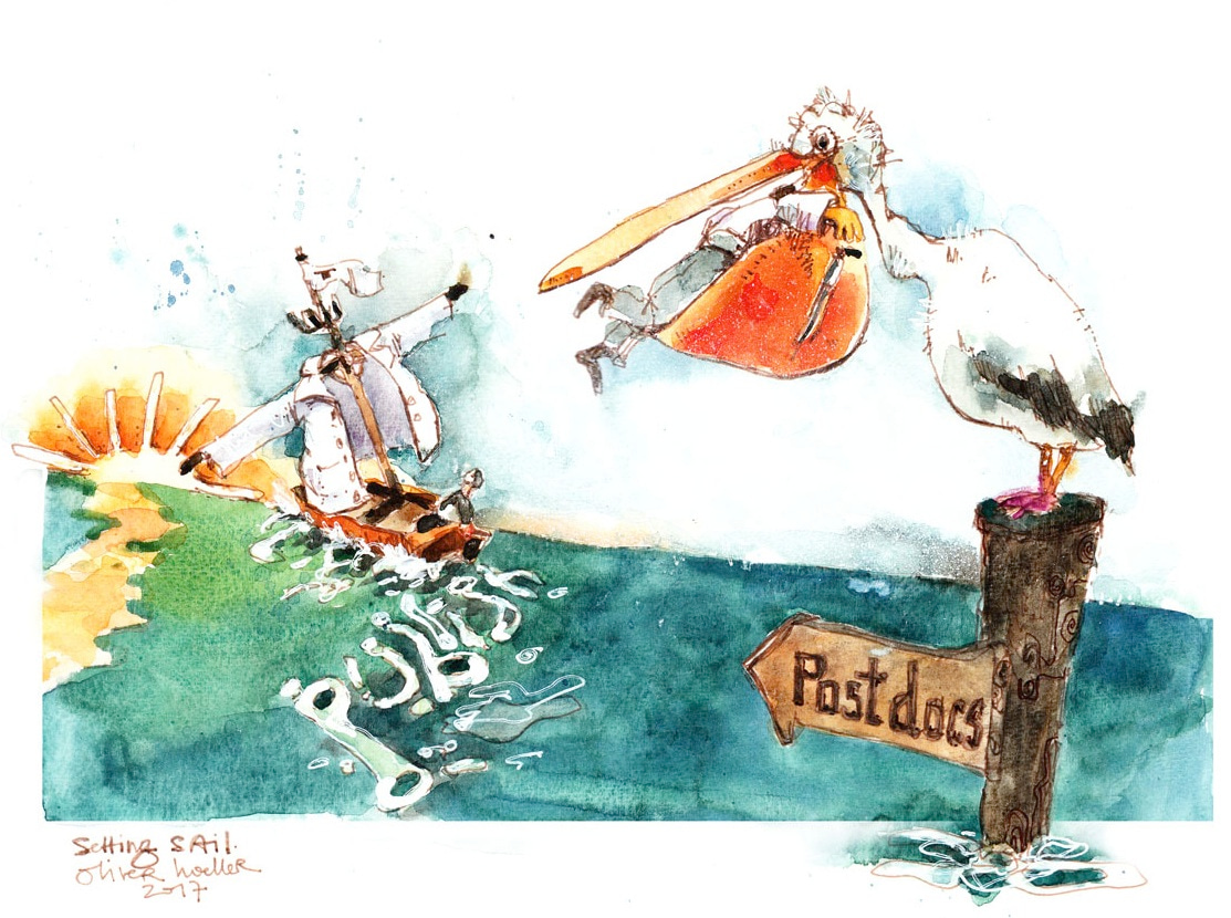 Setting sail (a short guide to choosing a postdoc in academia)