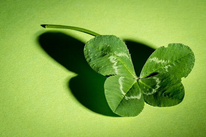 The role of luck in a successful scientific career