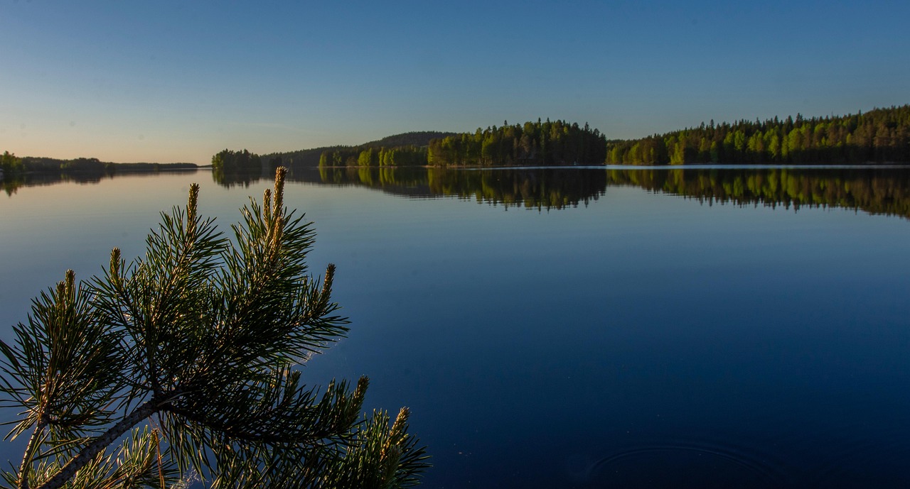 Retina in a dish: Methods & applications in life sciences