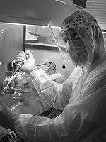 Go to the profile of Jiří Černý