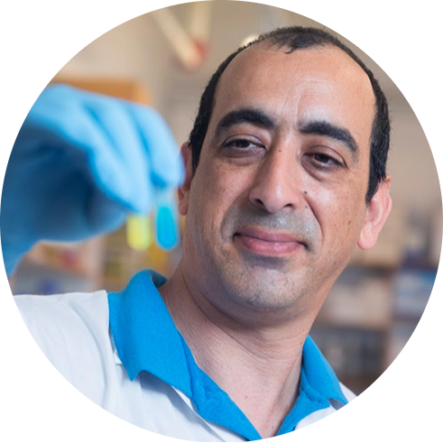 Go to the profile of Eitan Lerner