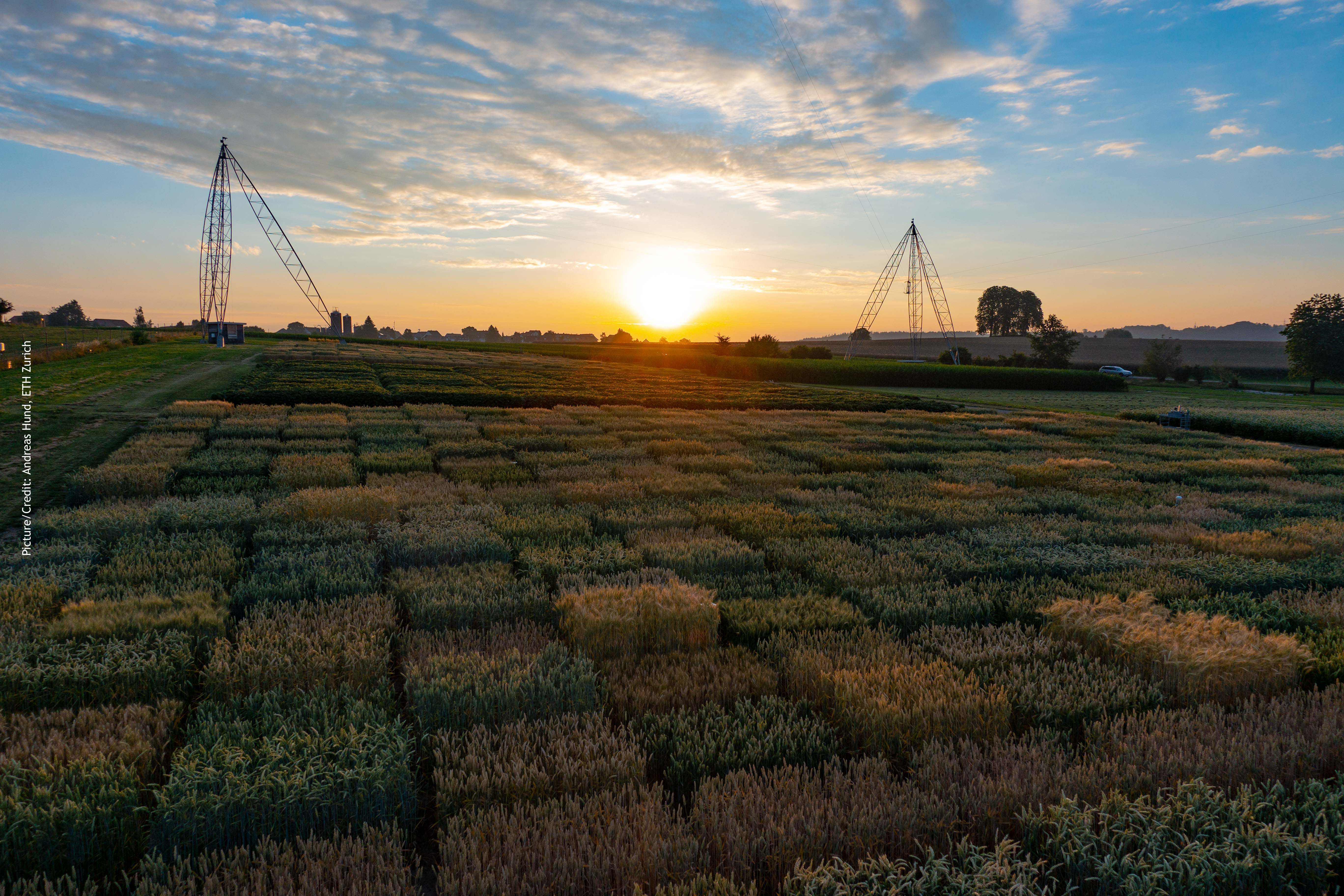 EMPHASIS: Integrating European Plant Phenotyping
