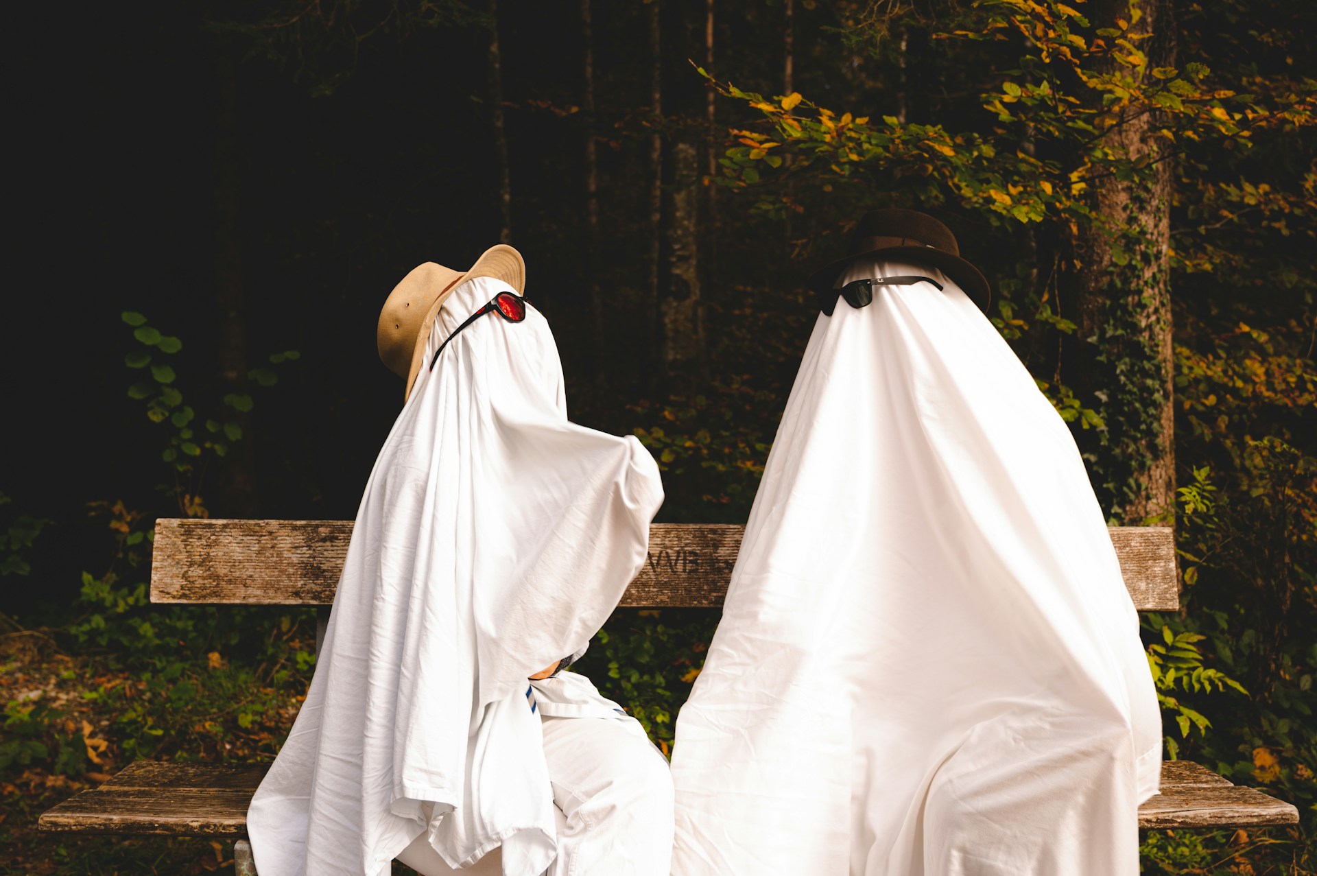 Surviving, even enjoying, conferences