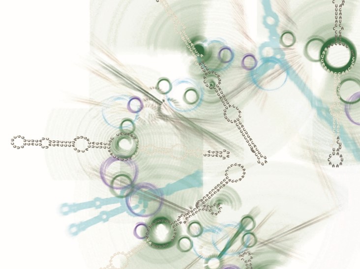 Gunter Meister: “We are currently experiencing a really exciting period of RNA biology”