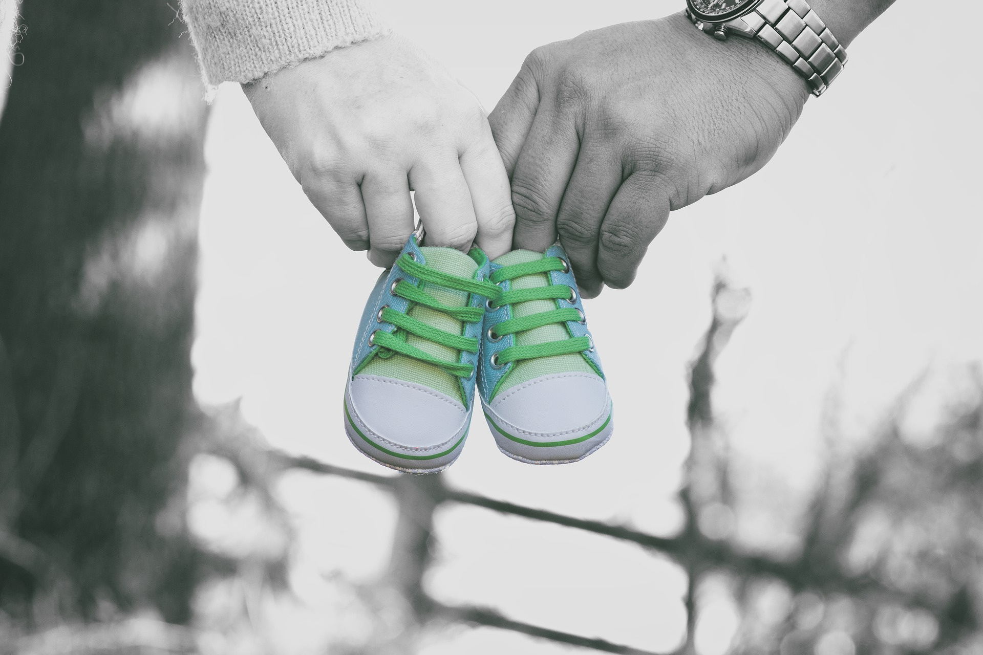 What to expect (from your PI and yourself) when you are expecting