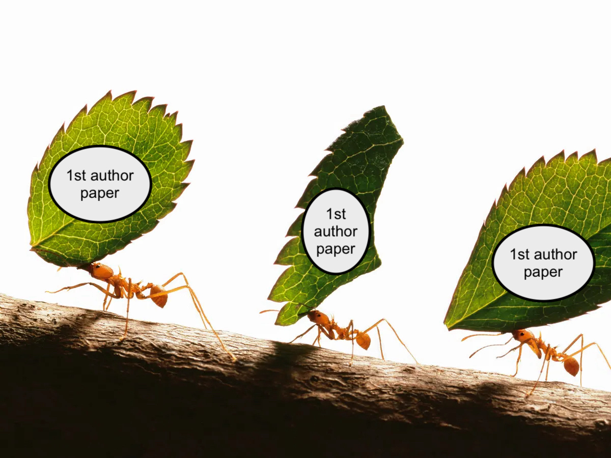 Changing the currency