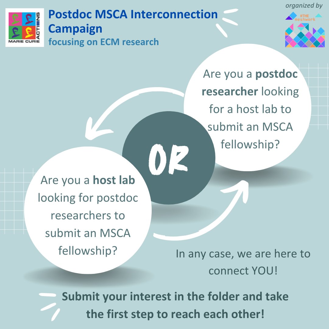 MSCA 2024 campaign