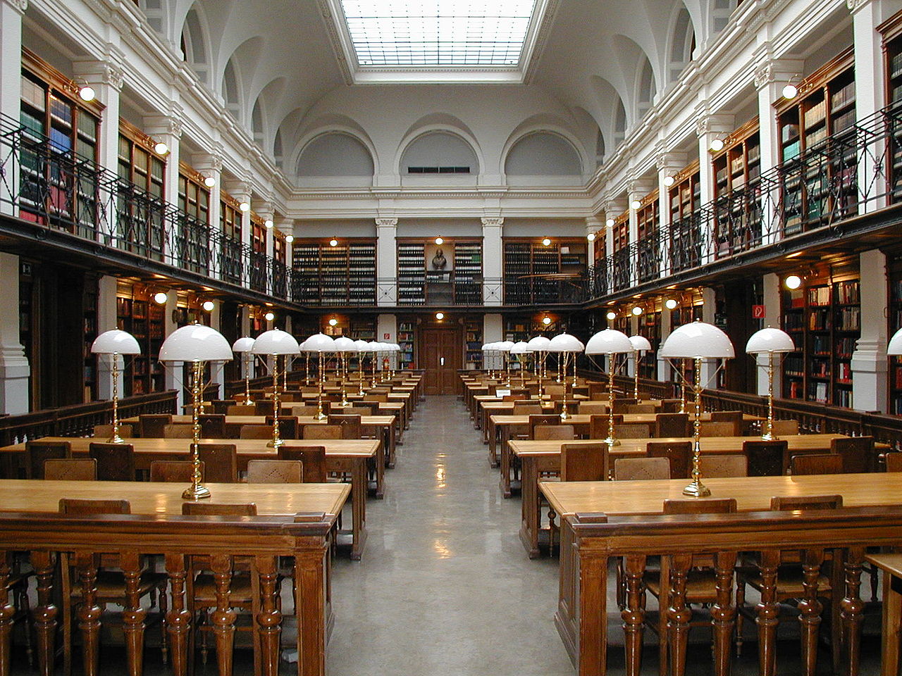 The evolving library
