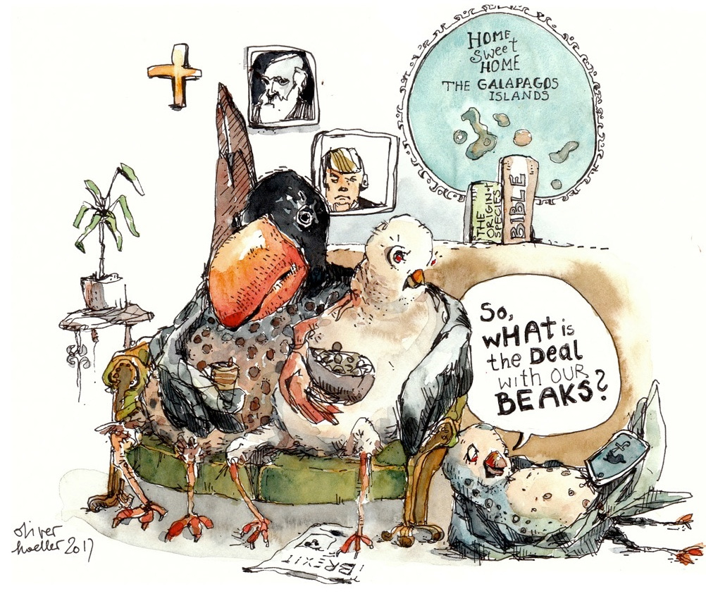 Evolution and faith at the dinner table