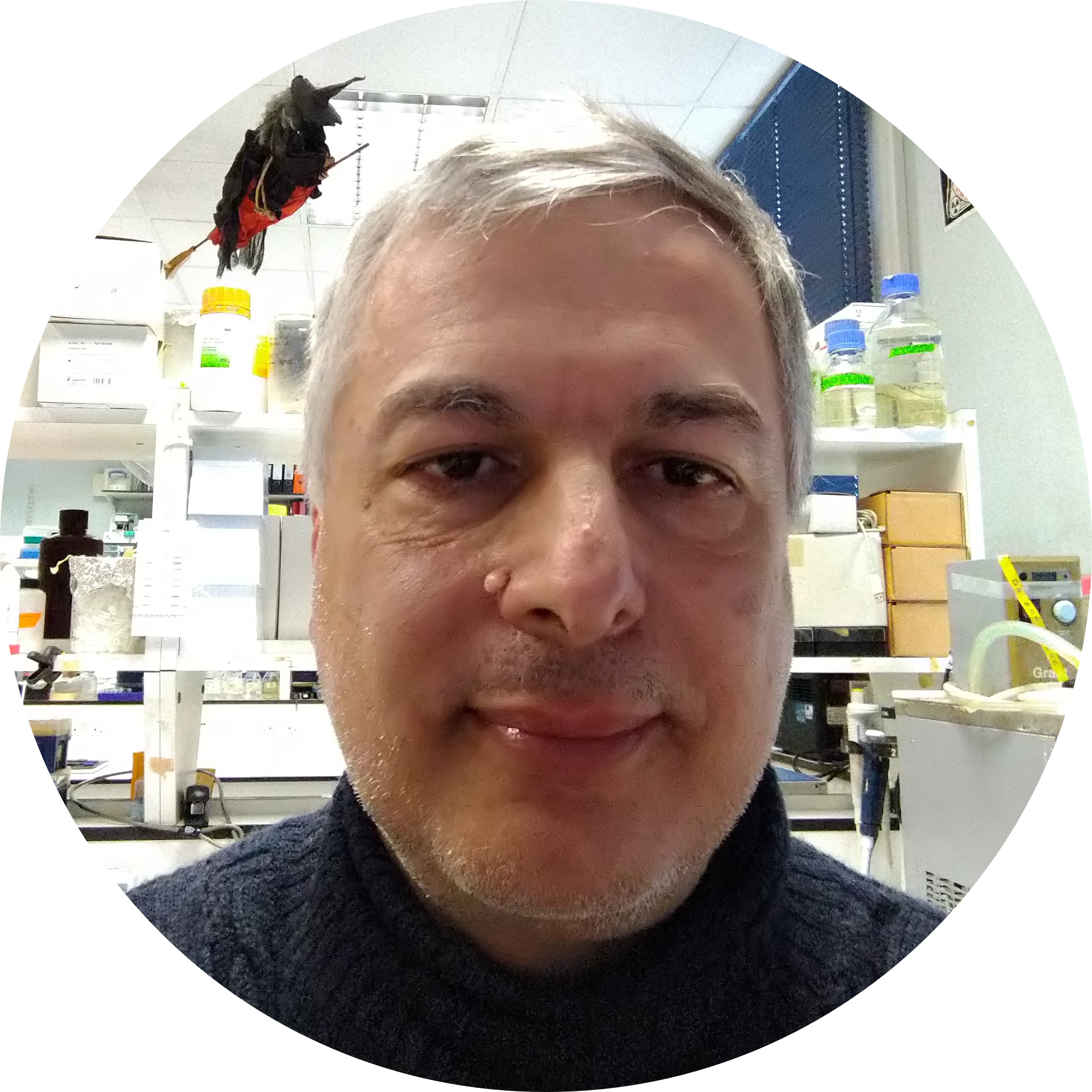 Go to the profile of Adolfo Saiardi