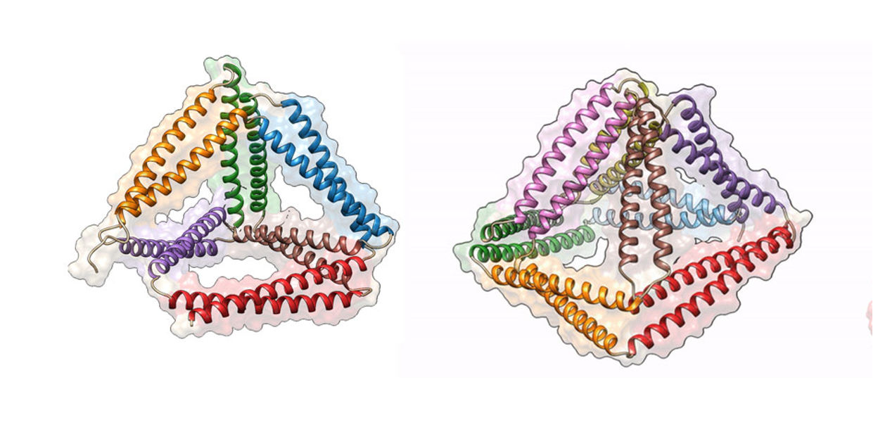 Roman Jerala: "…I often have to take care that I am not carried away by new tempting ideas."