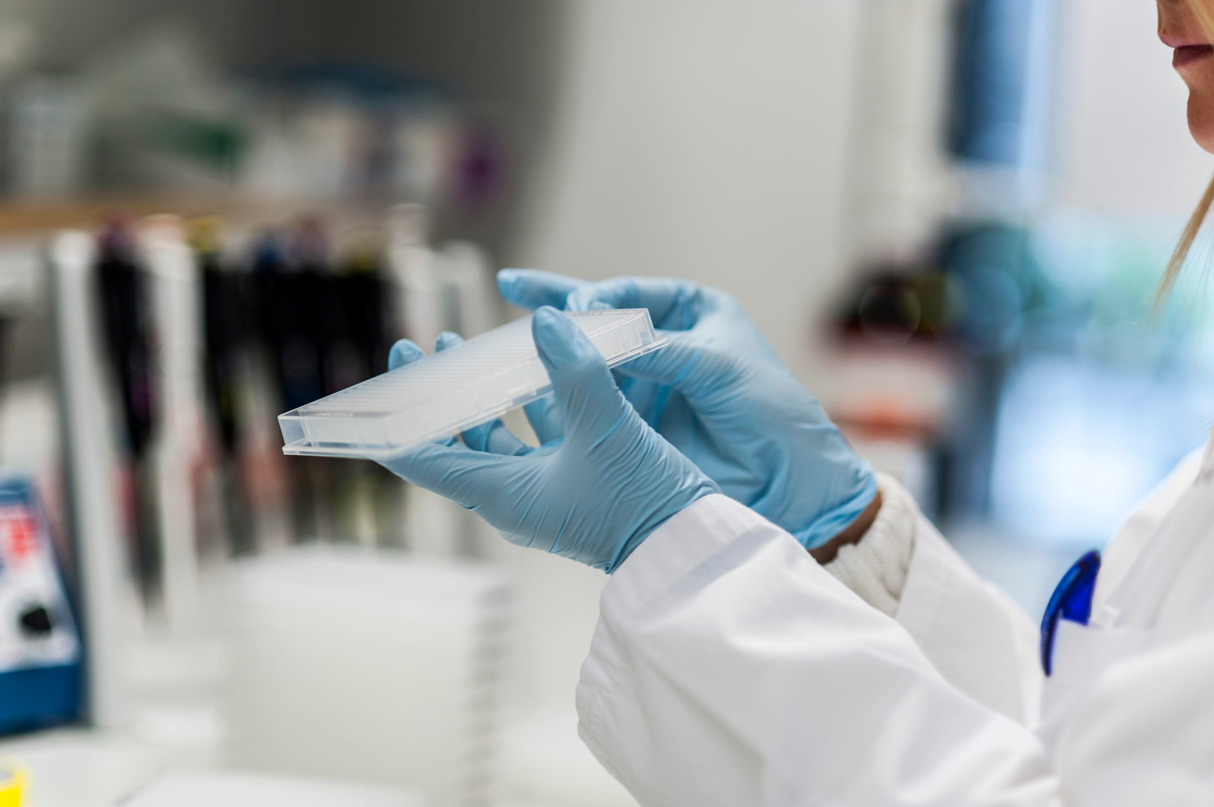 Rare Disease researcher looking for a mentor?