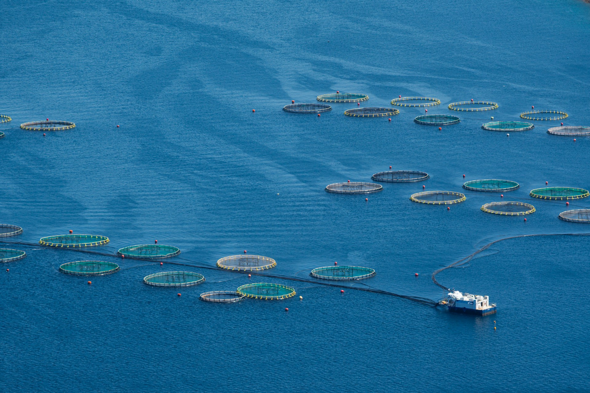 Fish health matters: Interdisciplinary research and collaboration is needed