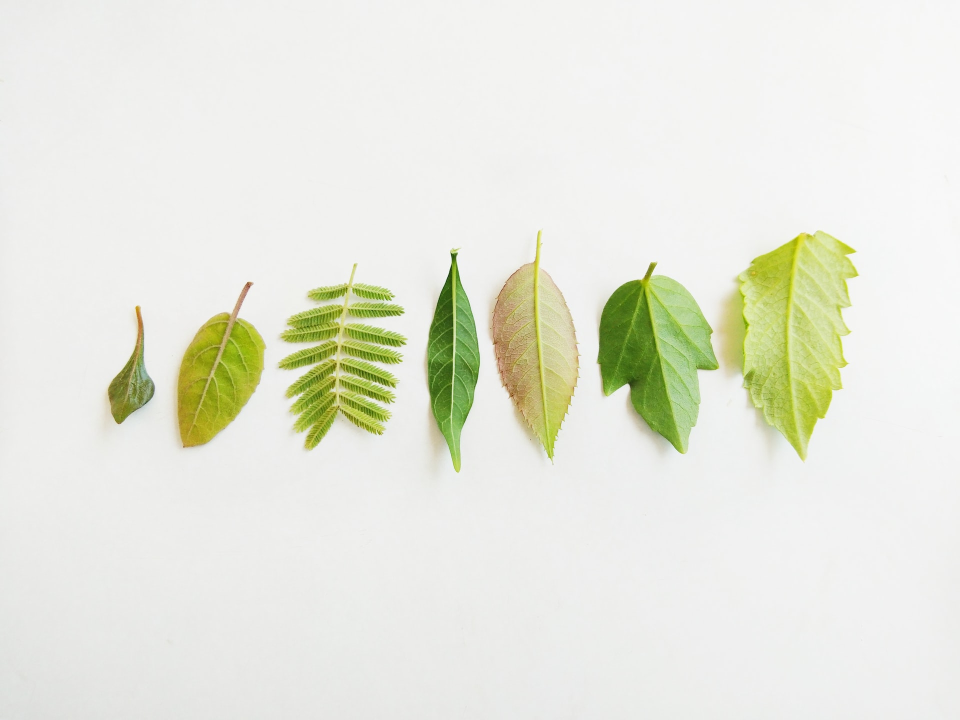 Everything for your career – sustainably