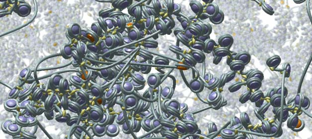 FEBS Advanced Course on Chromatin Proteomics 2019  22-27 September 2019 – Heraklion/Greece