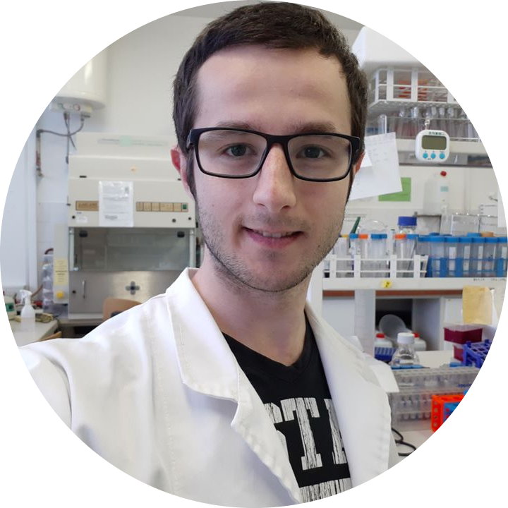 Go to the profile of Spase Stojanov