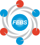 FEBS Network
